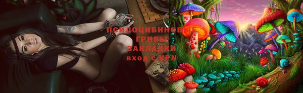 ПСИЛОЦИБИНОВЫЕ ГРИБЫ Остров