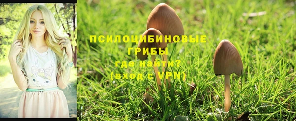 ALPHA PVP Осинники