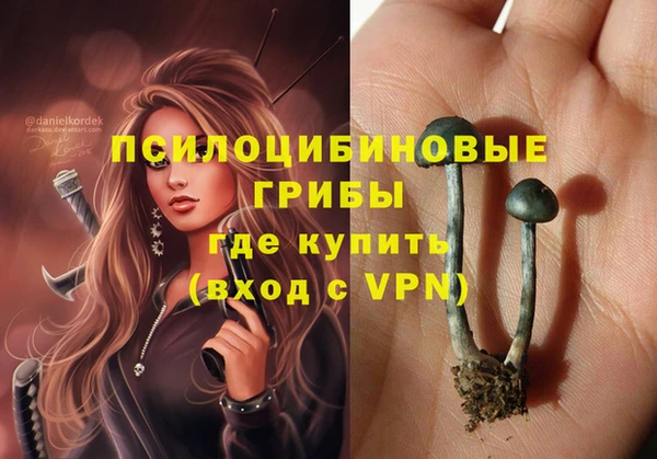 ПСИЛОЦИБИНОВЫЕ ГРИБЫ Остров