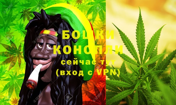 ПСИЛОЦИБИНОВЫЕ ГРИБЫ Остров
