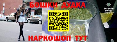 сатива Обнинск